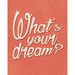 Placa-Decorativa-What-s-Your-Dream--24x19cm-DHPM-148---Litoarte