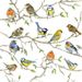 Guardanapo-Decoupage-Ambiente-13314975-Birds-Meeting-2-unidades
