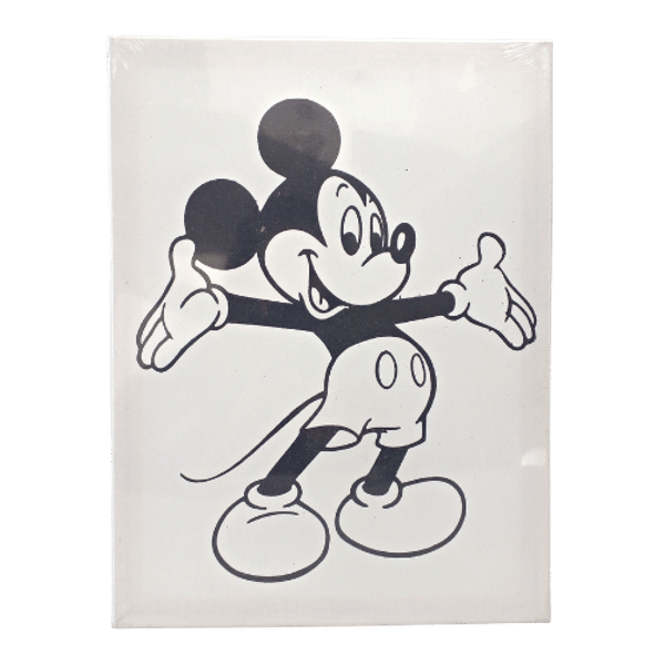Tela-para-Pintura-Riscada-30x40cm-Mickey-Art---Hobby